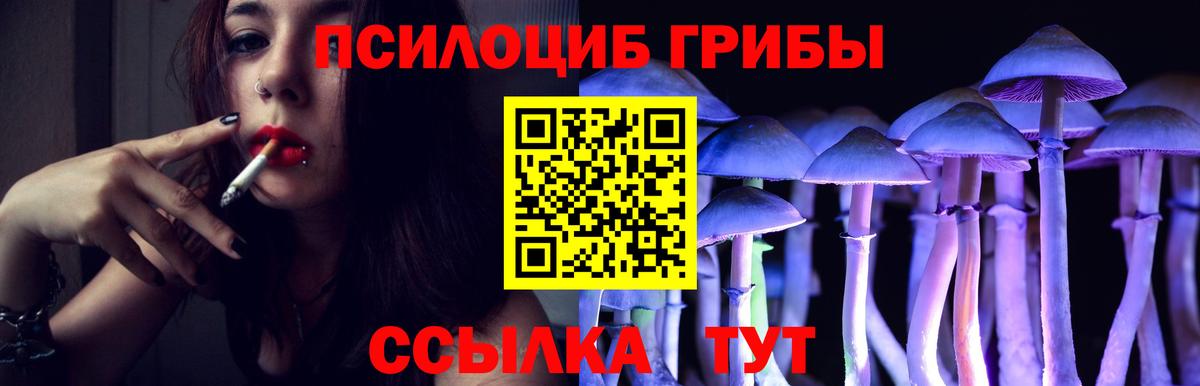 Псилоцибиновые грибы мухоморы Дубна
